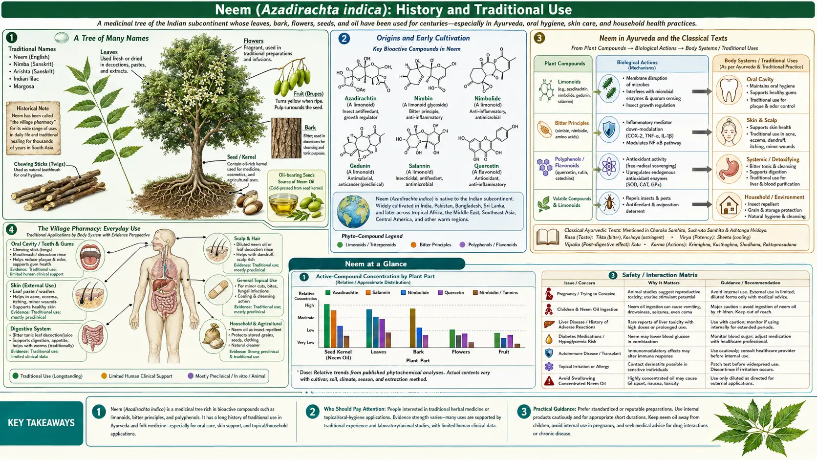 History — scientific infographic poster