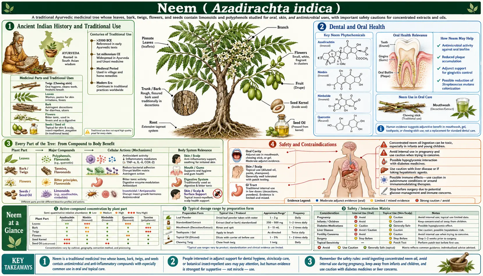 Neem — scientific infographic poster