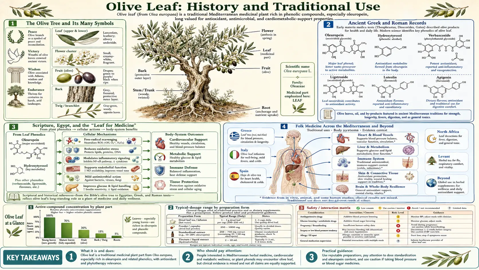 History — scientific infographic poster