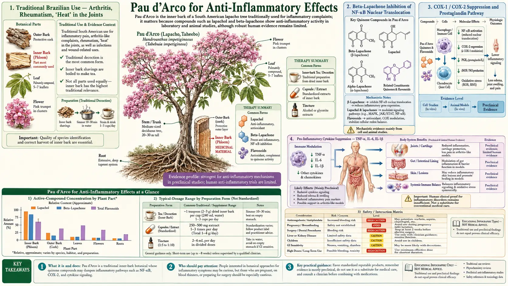 Anti Inflammatory — scientific infographic poster