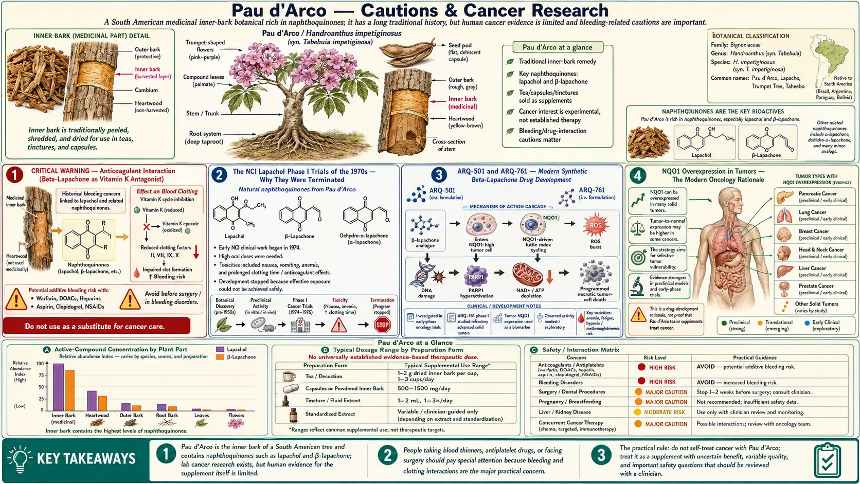Cautions and Cancer Research — scientific infographic poster