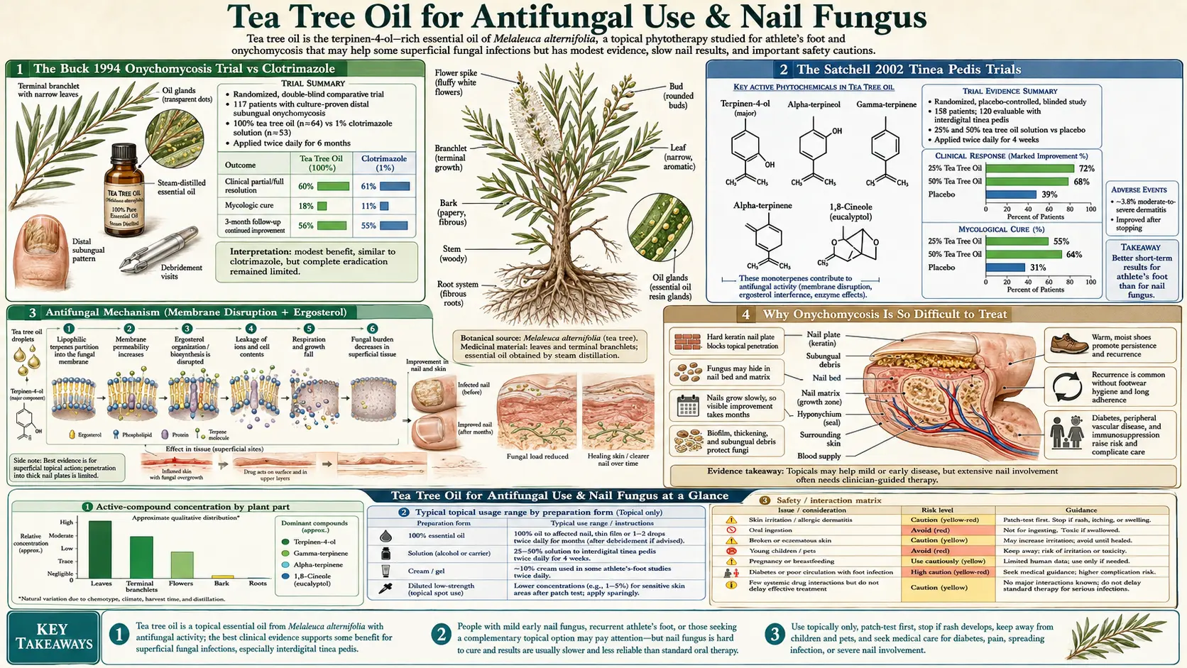 Antifungal and Nail Fungus — scientific infographic poster