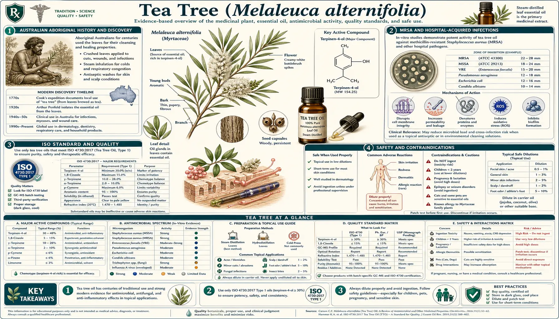 Tea Tree — scientific infographic poster