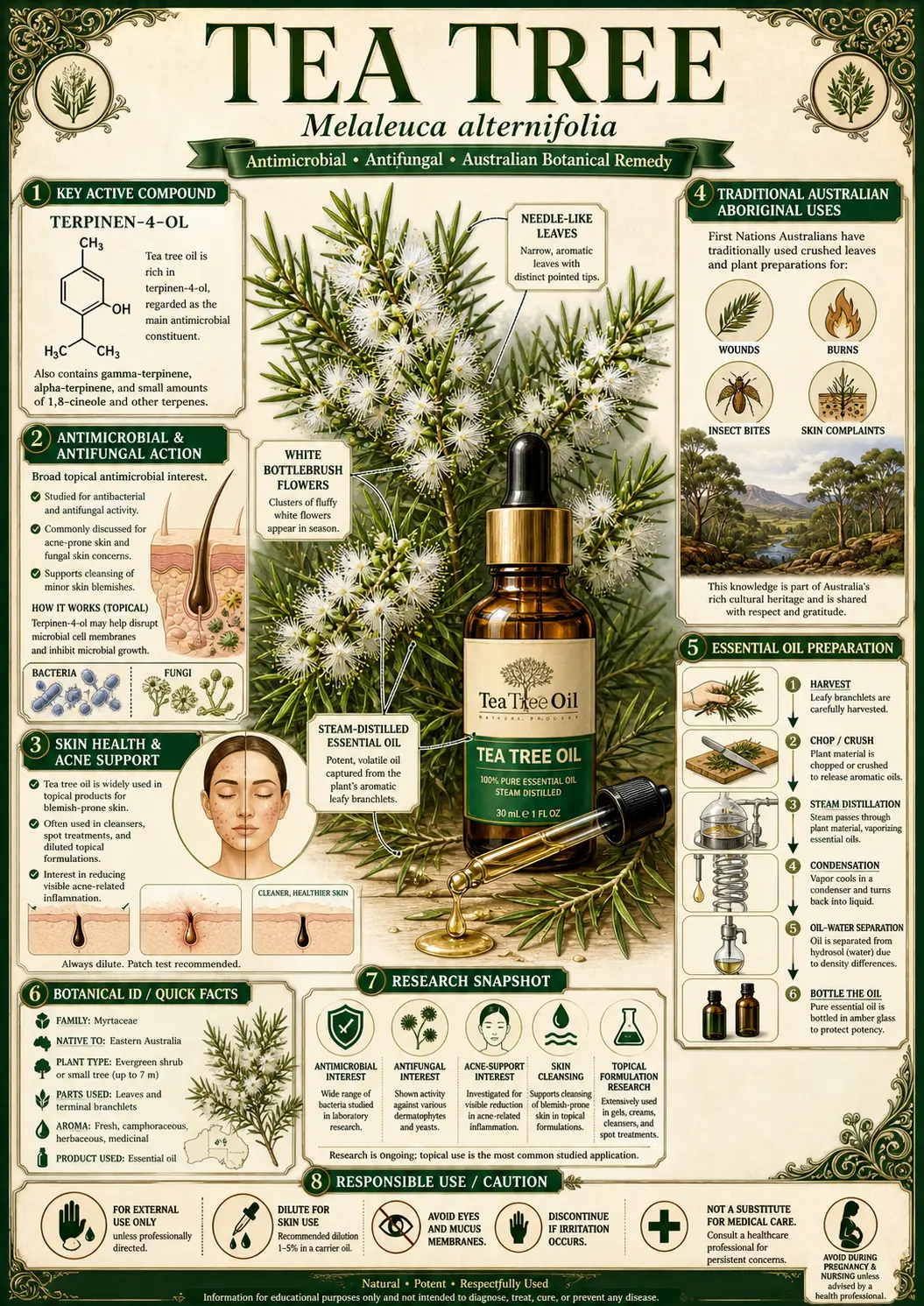 Tea Tree (Melaleuca alternifolia)