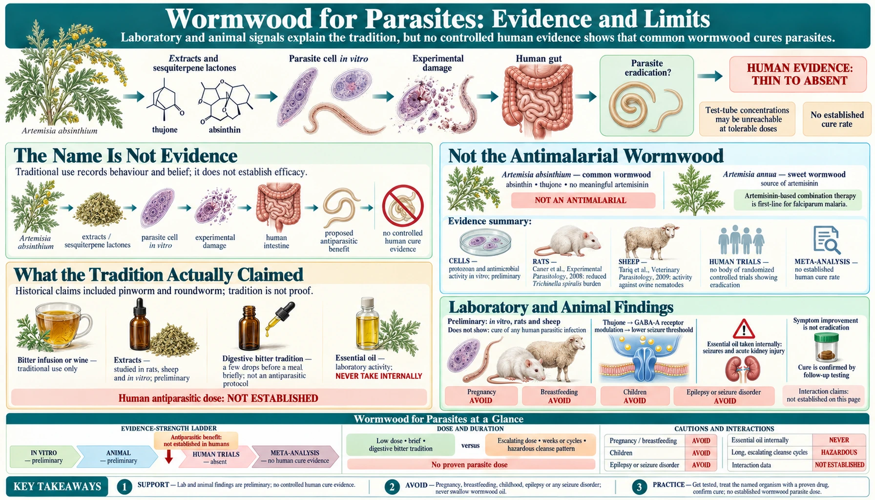 Parasites and Antimicrobial — scientific infographic poster