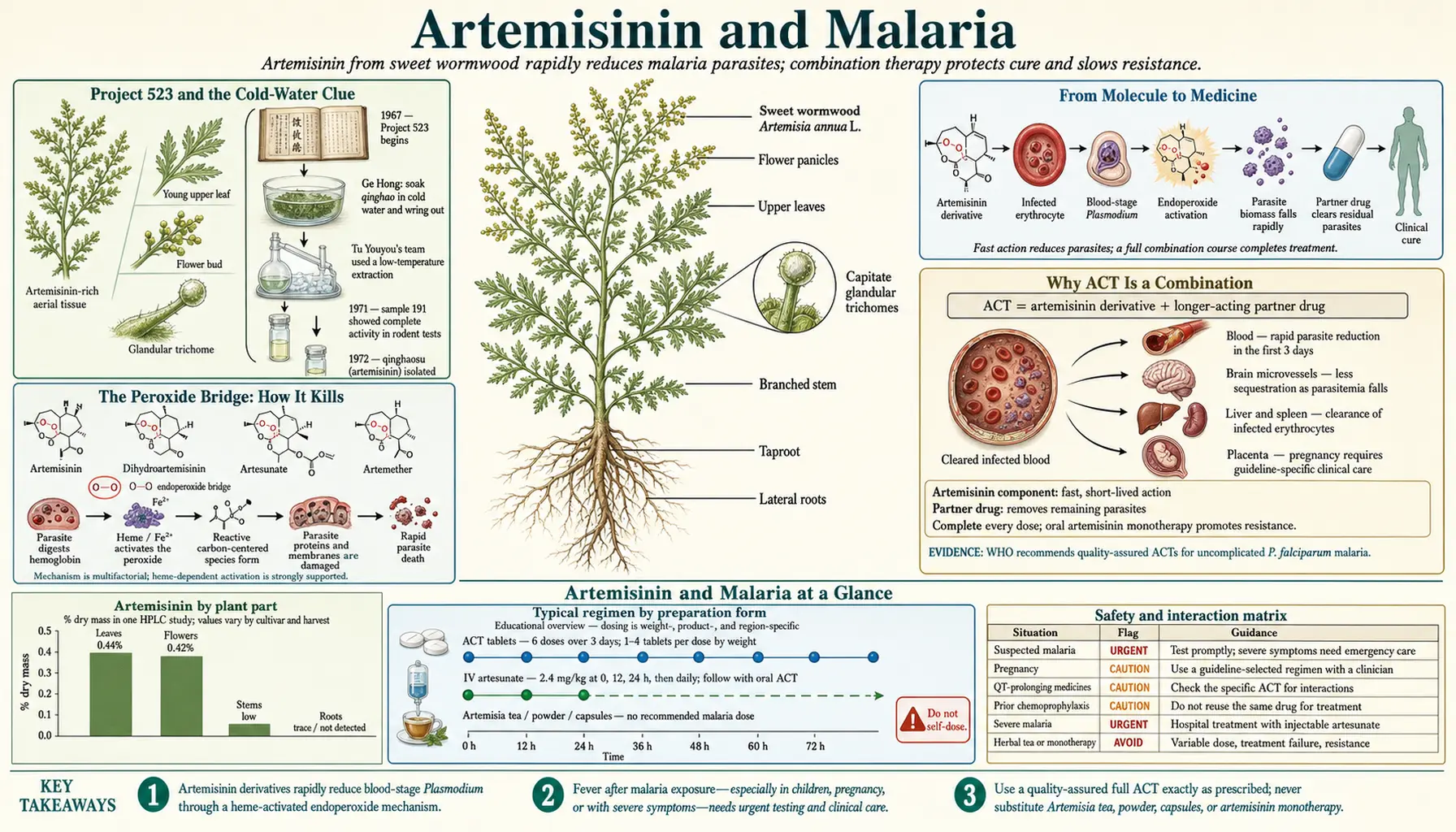 Artemisinin and Malaria — scientific infographic poster