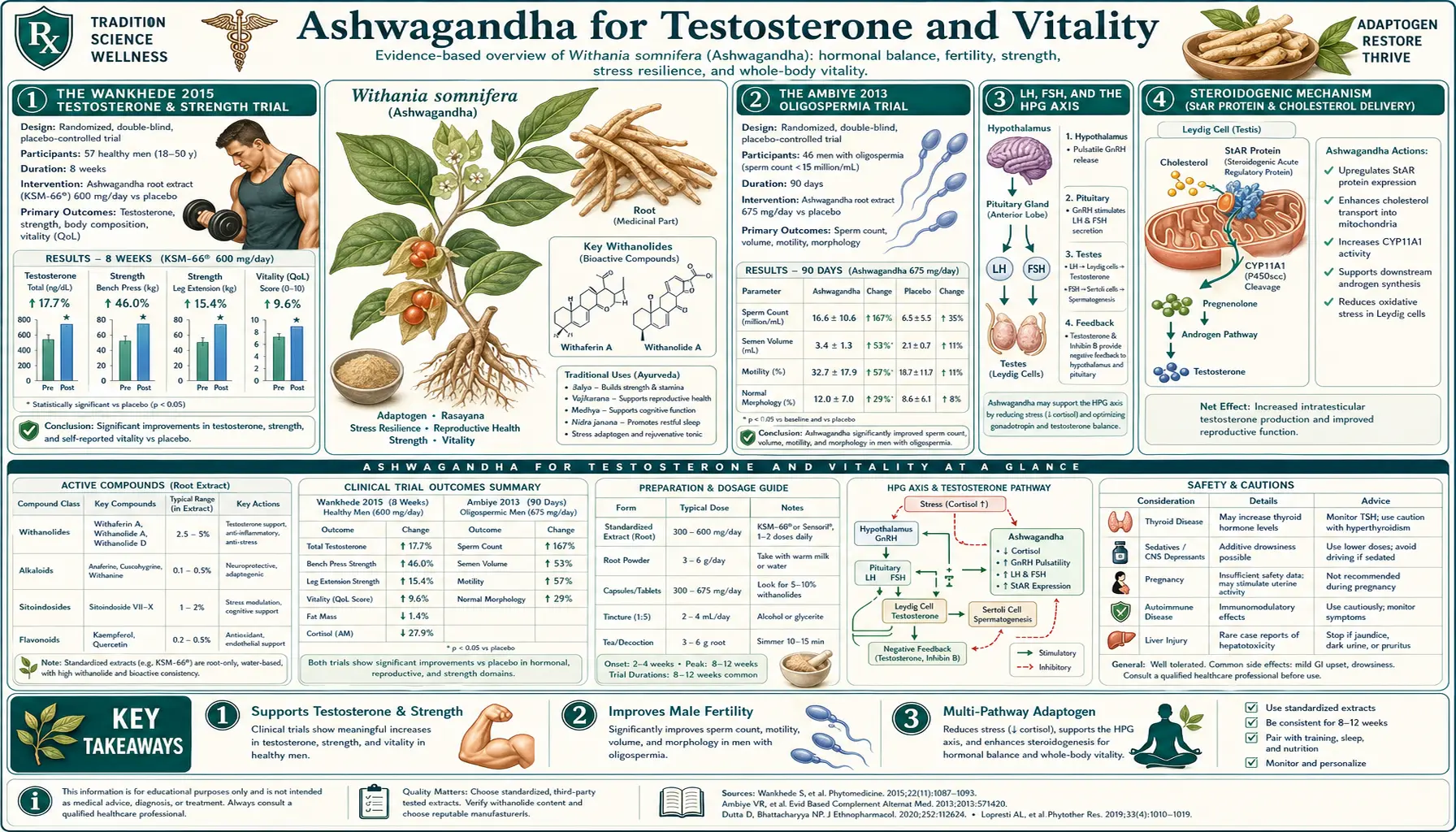 Testosterone and Vitality — scientific infographic poster