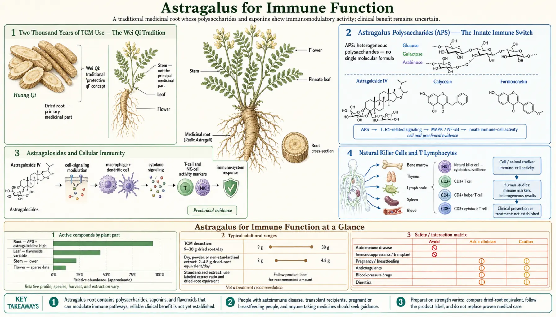Immune Function — scientific infographic poster