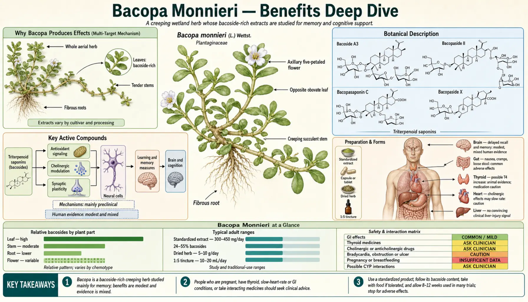Benefits — scientific infographic poster