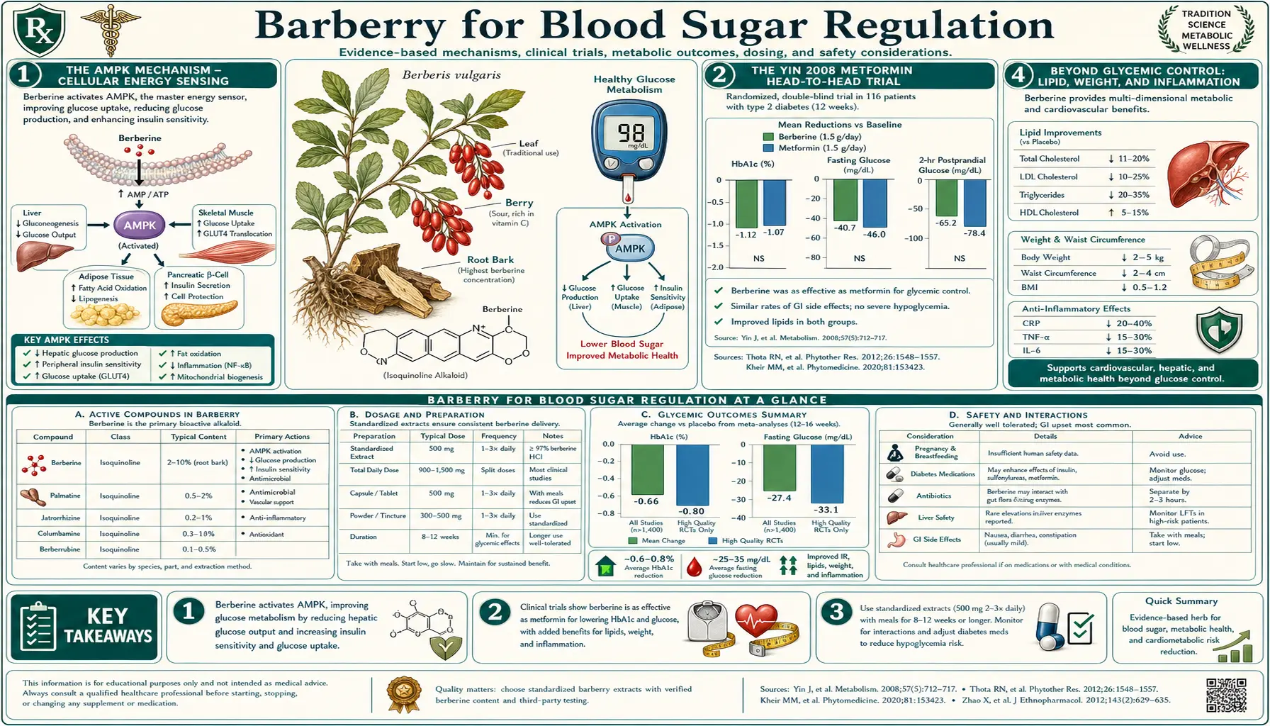 Blood Sugar — scientific infographic poster
