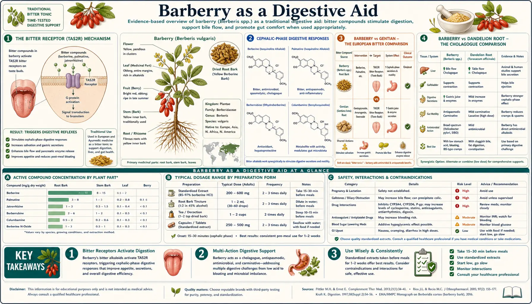 Digestive Aid — scientific infographic poster