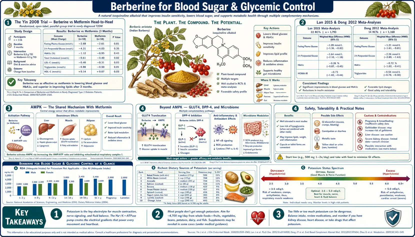 Blood Sugar — scientific infographic poster