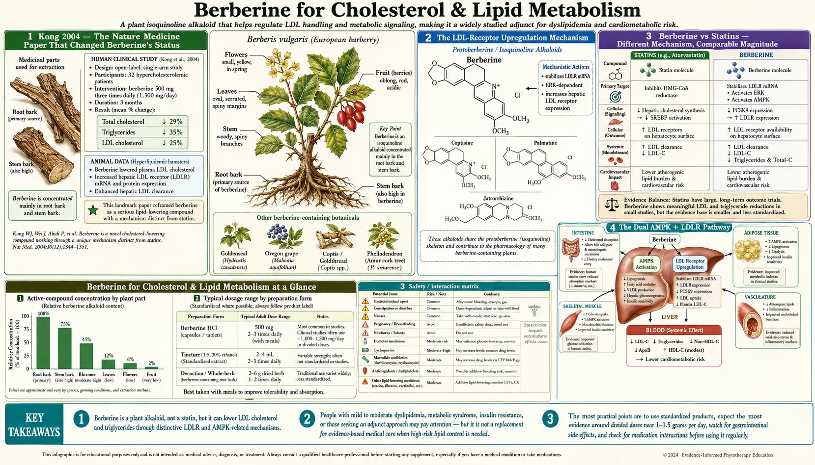 Cholesterol — scientific infographic poster