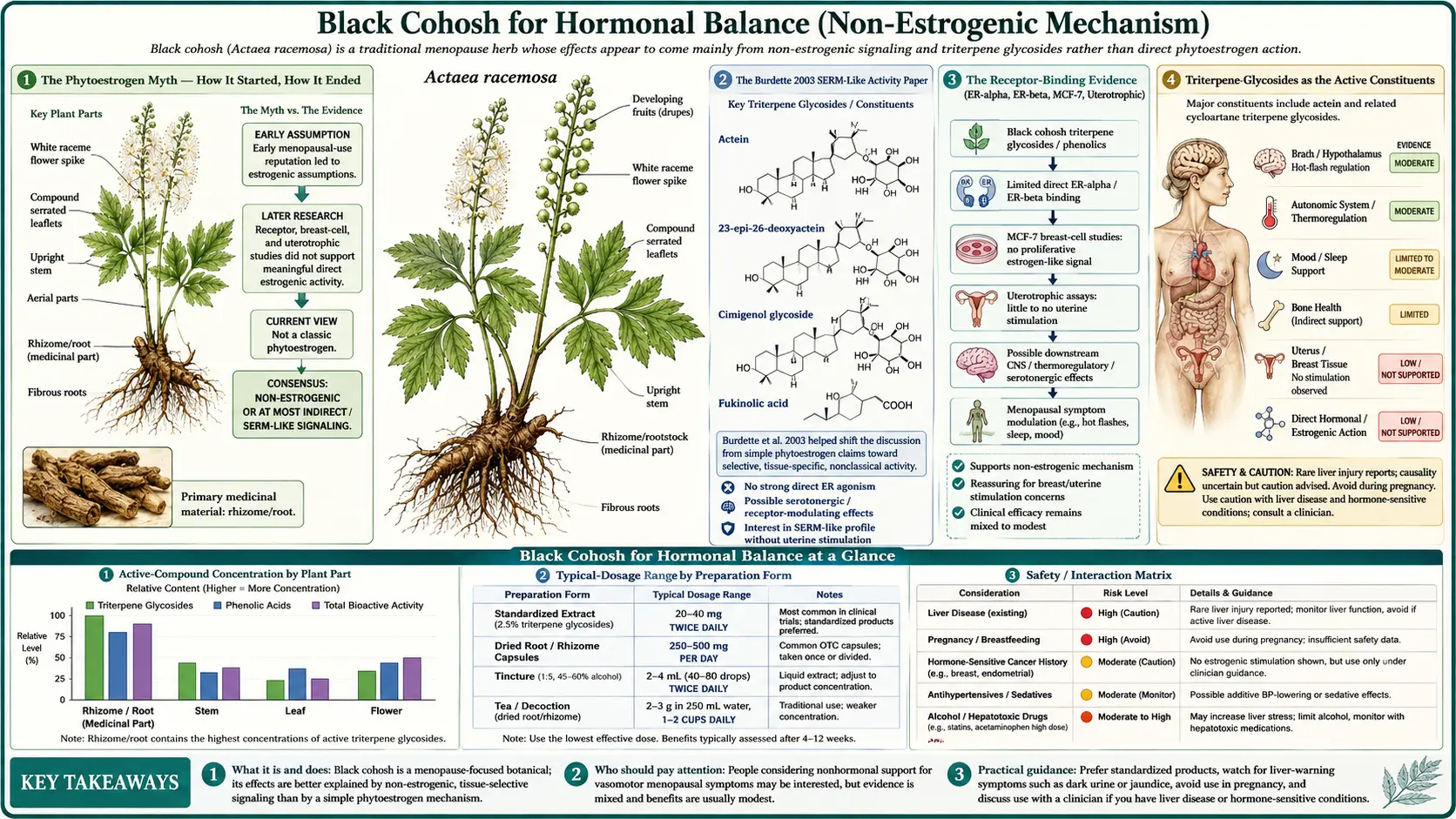 Hormonal Balance — scientific infographic poster
