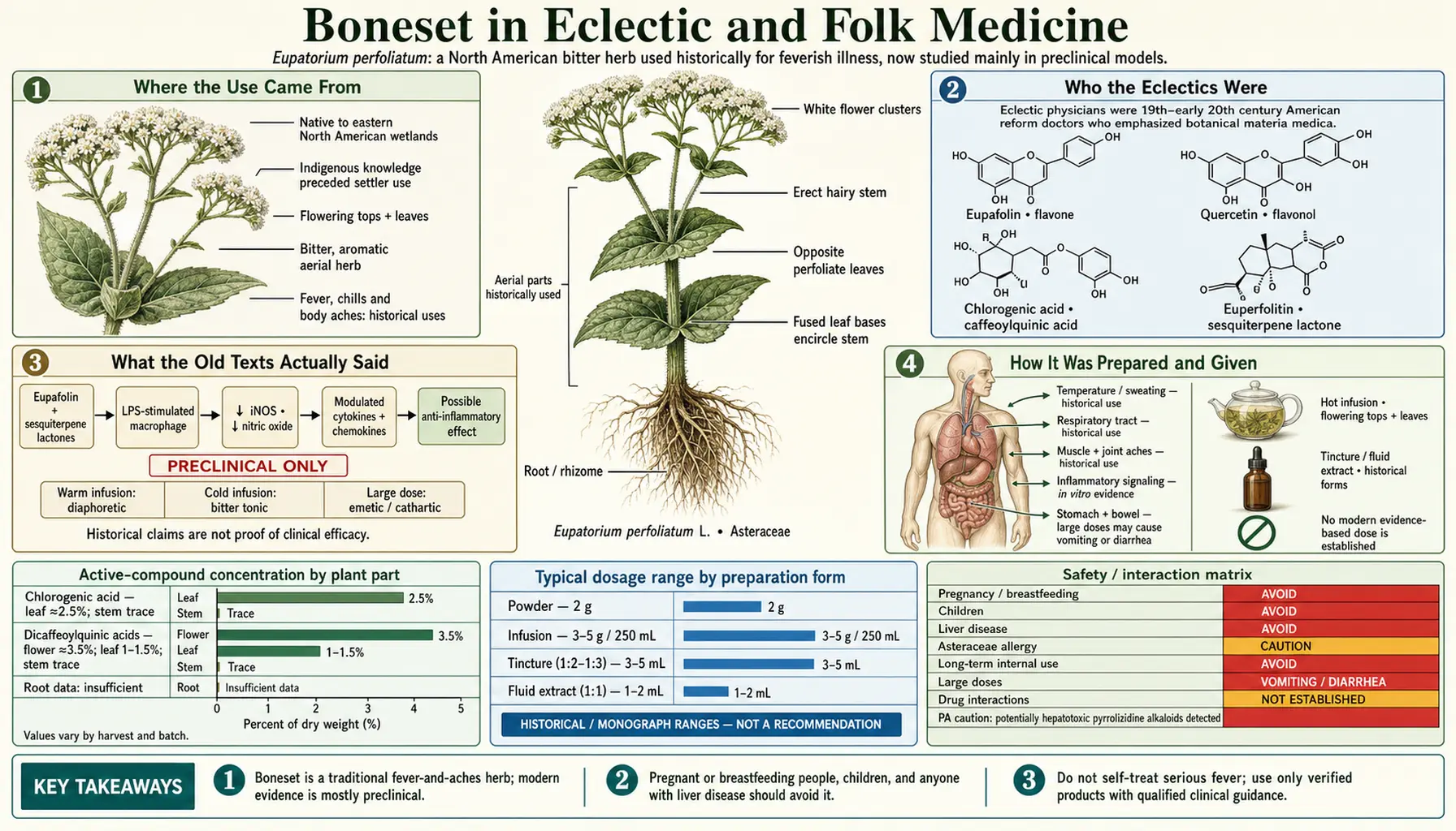 Traditional Use and Eclectic Medicine — scientific infographic poster