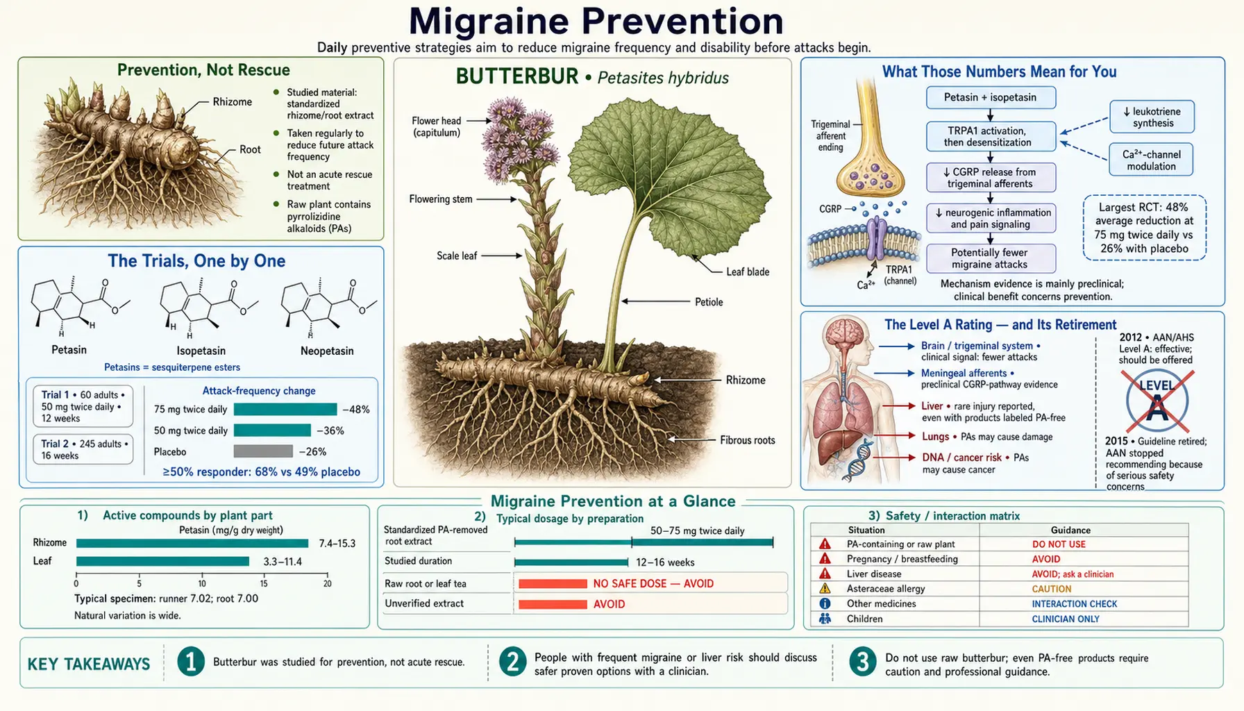 Migraine Prevention — scientific infographic poster