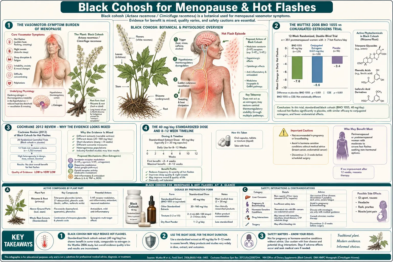 Menopause Hot Flashes — scientific infographic poster