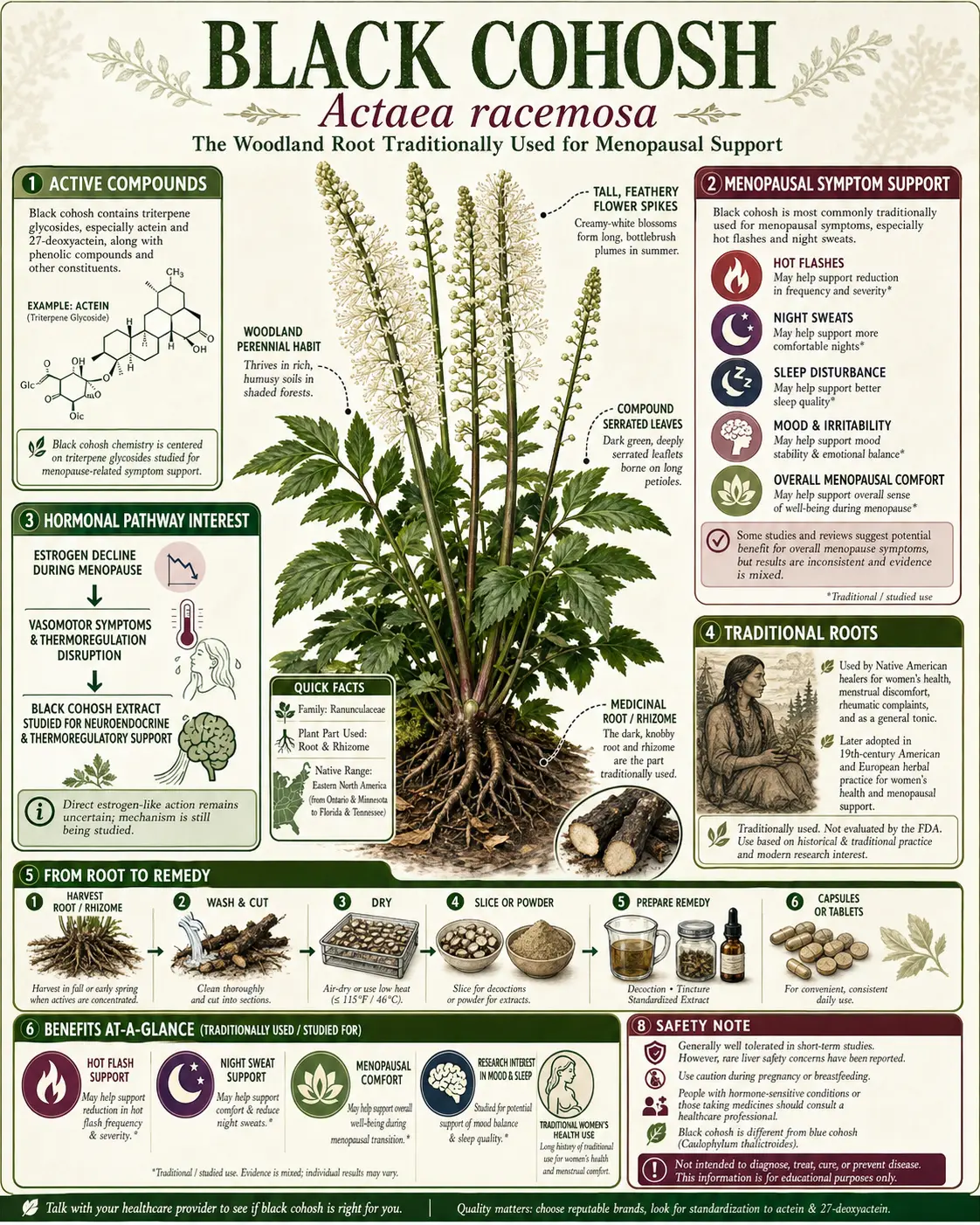 Black Cohosh (Actaea racemosa)