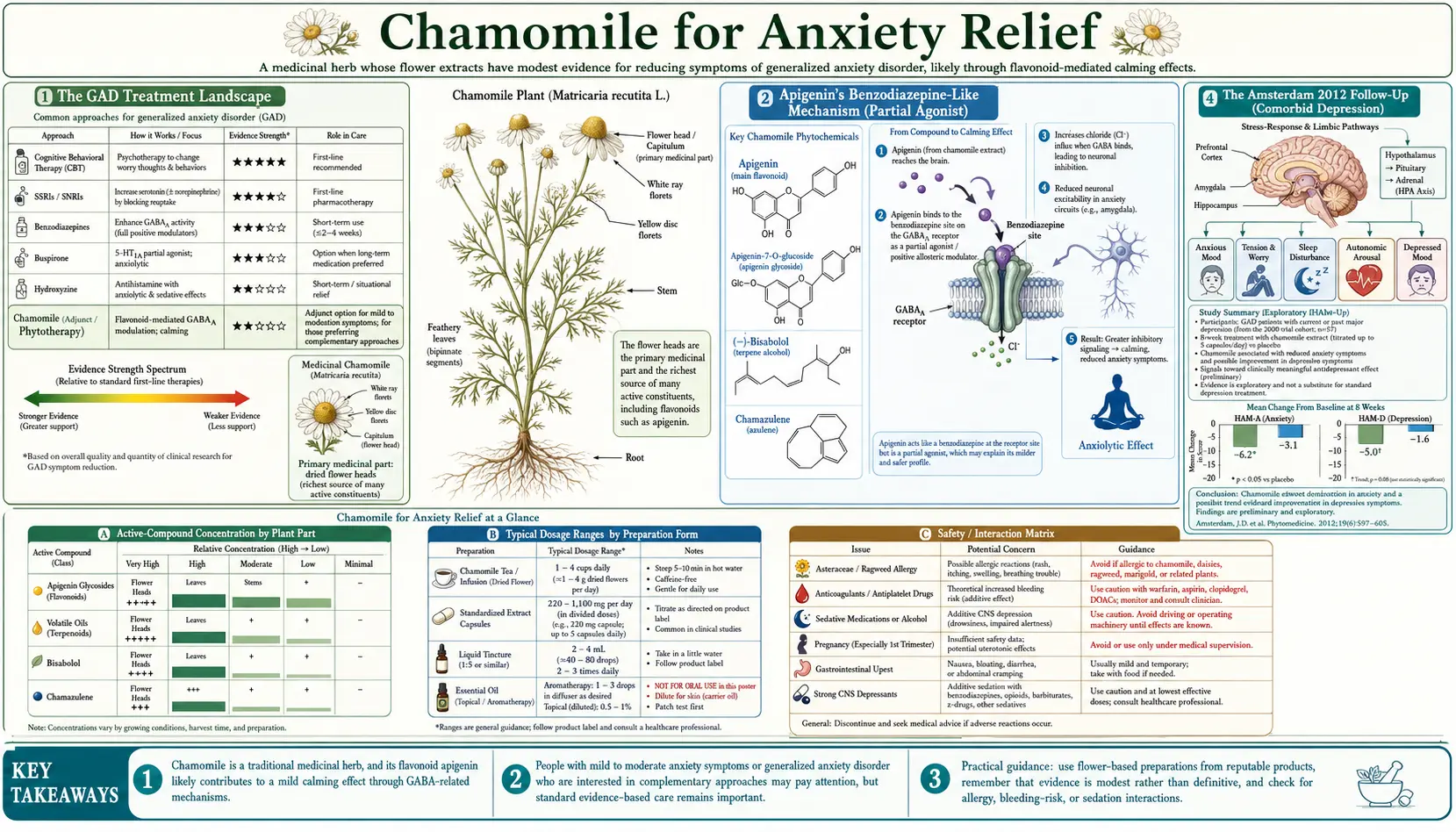 Anxiety Relief — scientific infographic poster