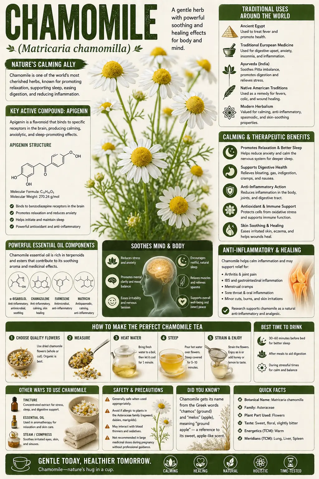 Chamomile (Matricaria chamomilla)