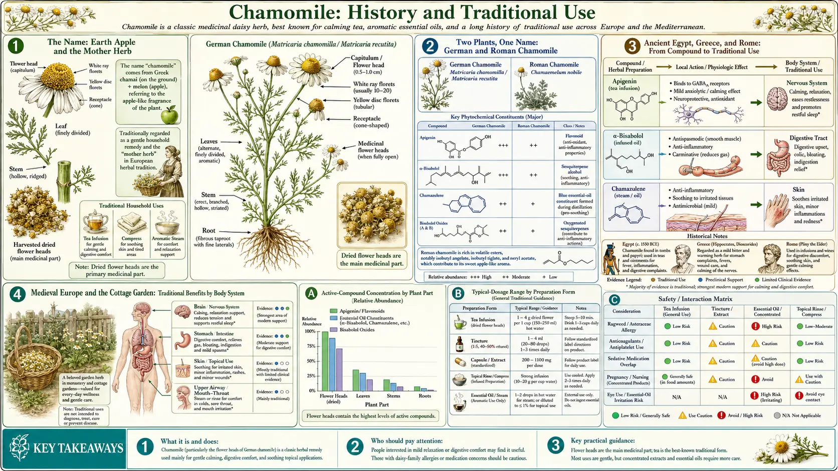 History — scientific infographic poster