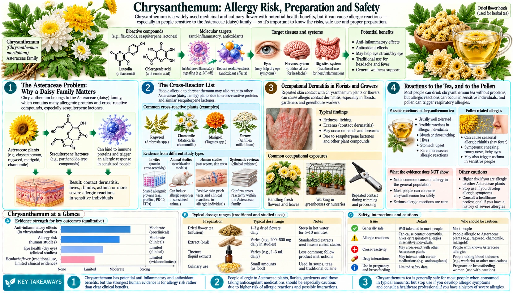 Allergy Preparation and Safety — scientific infographic poster