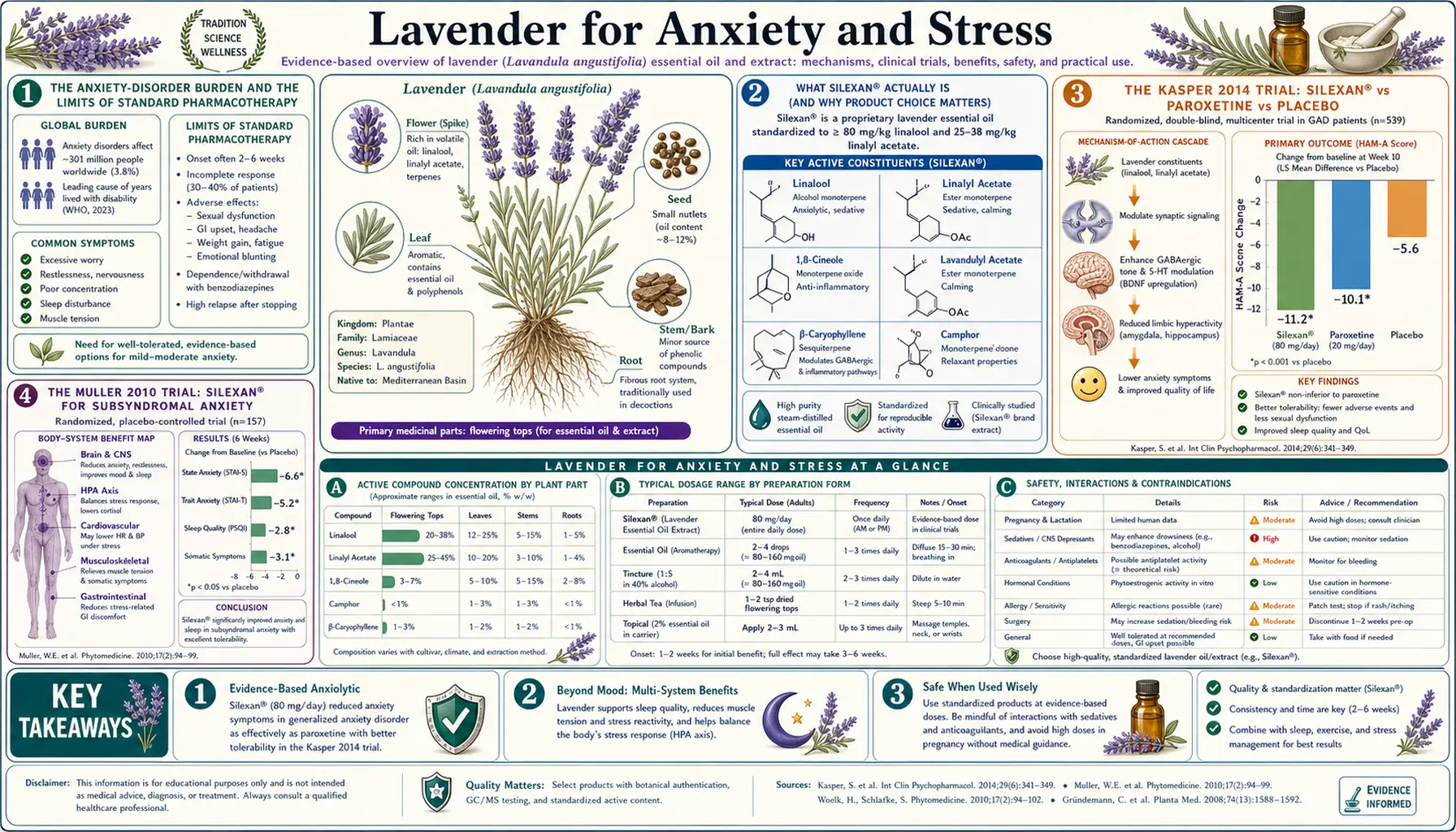 Anxiety and Stress — scientific infographic poster