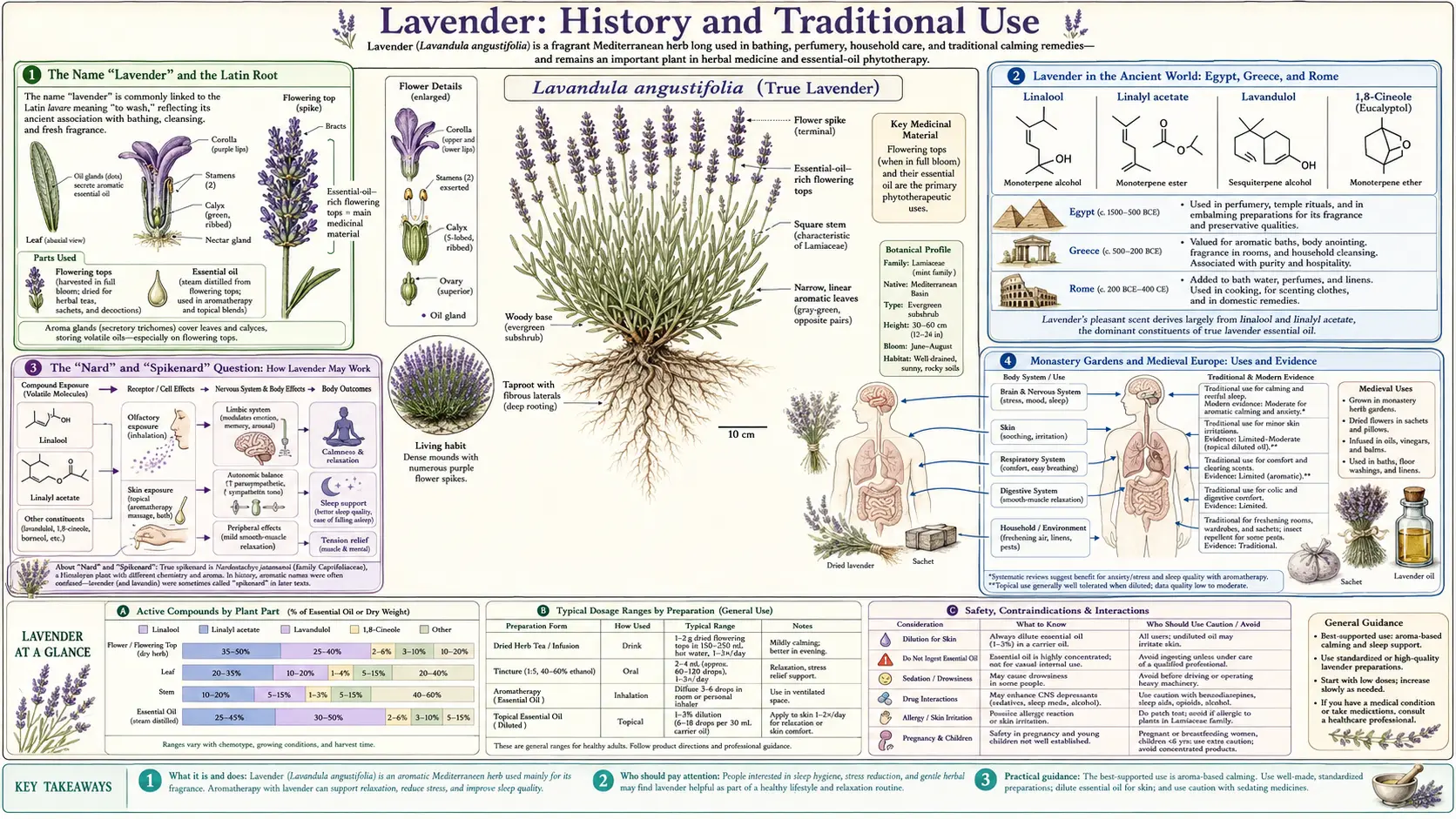 History — scientific infographic poster