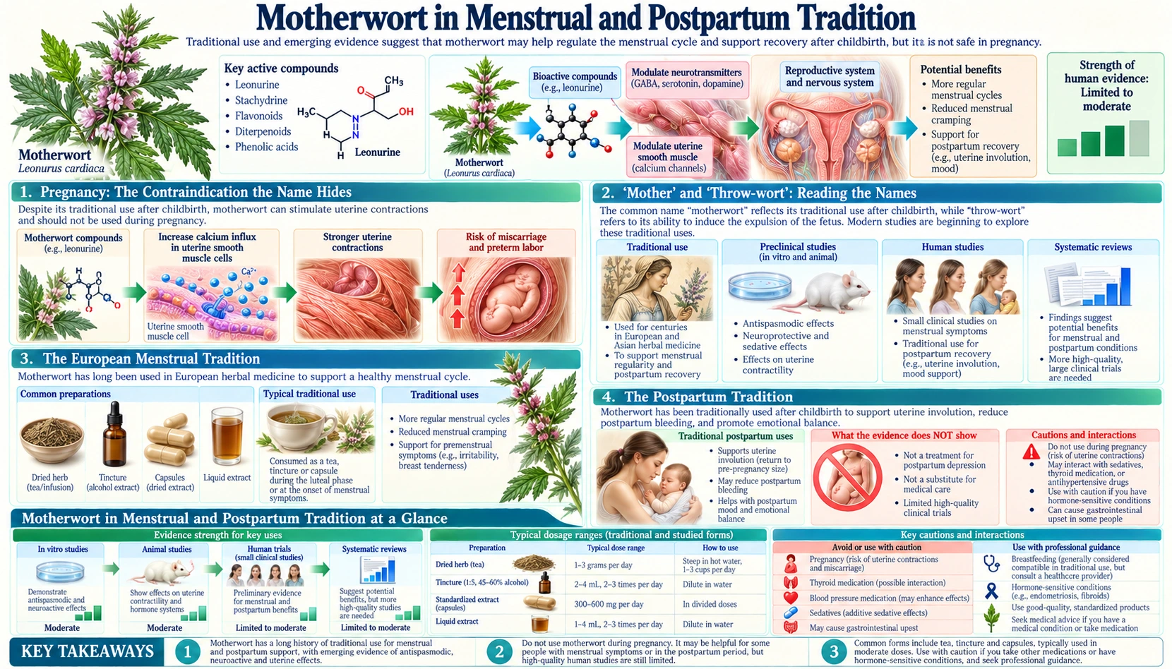 Menstrual and Postpartum Tradition — scientific infographic poster