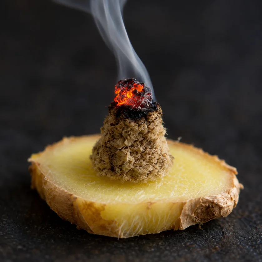 A moxa cone burning on a ginger slice