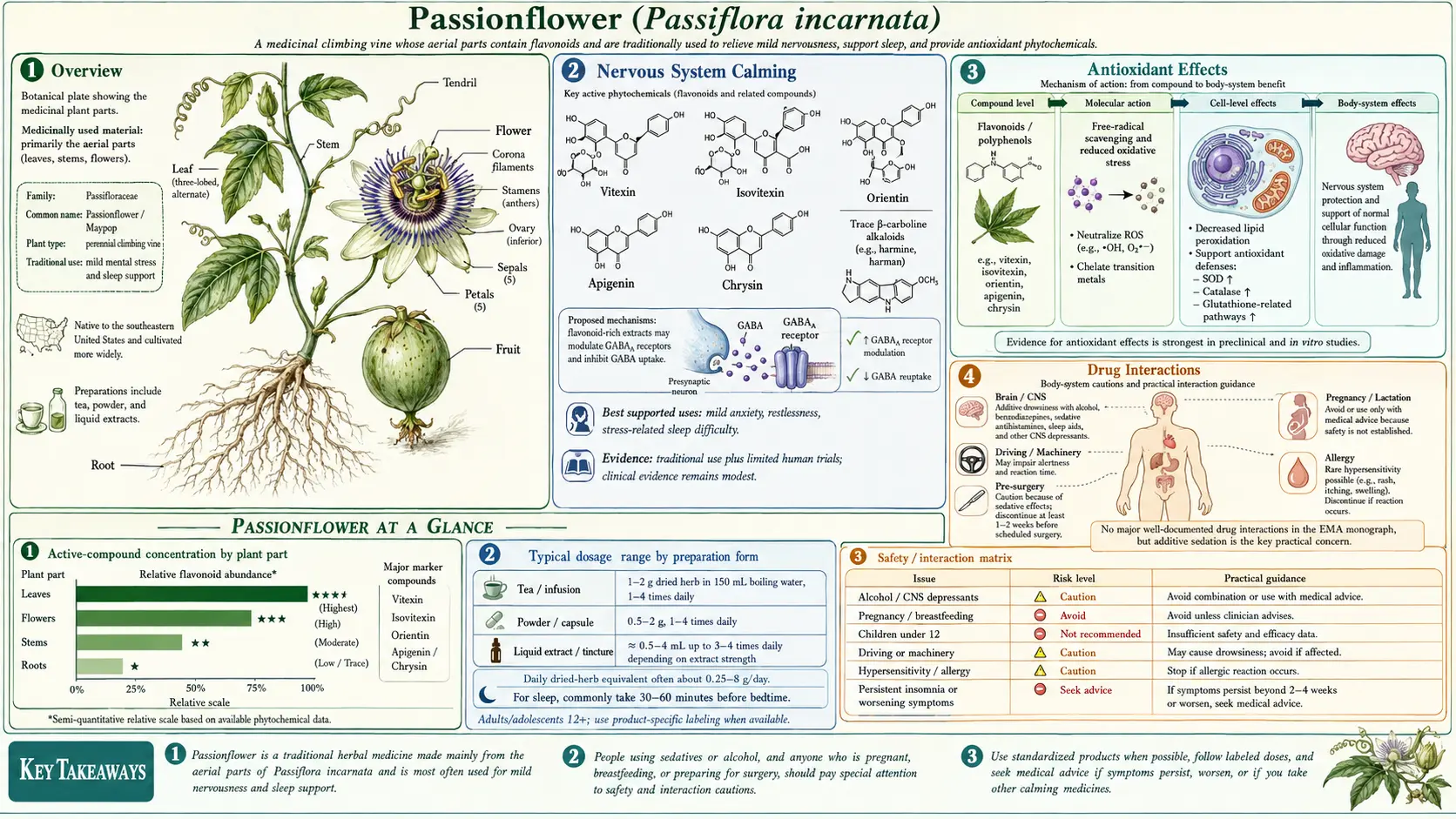 Passionflower — scientific infographic poster