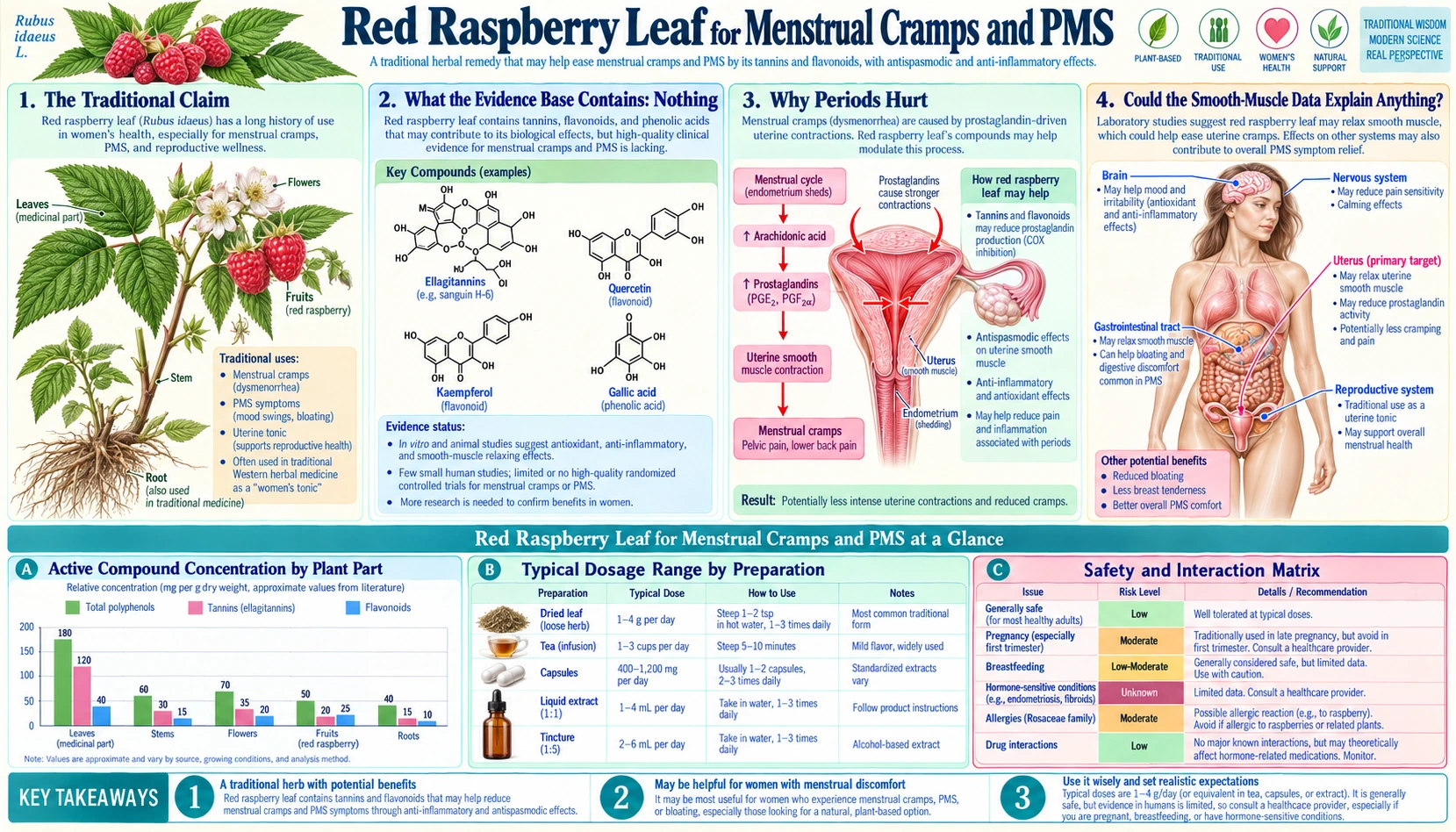 Menstrual Cramps and PMS — scientific infographic poster
