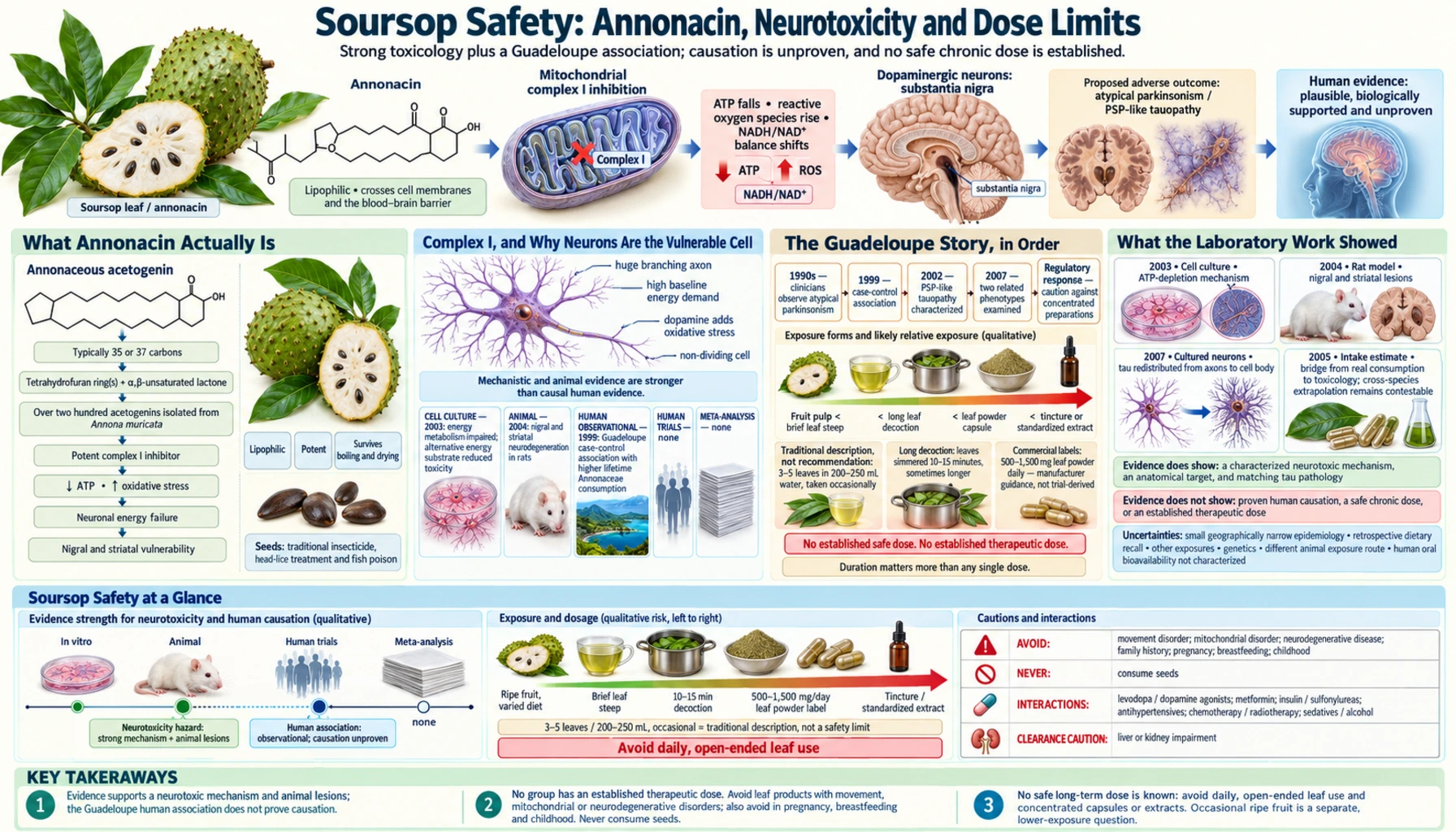 Annonacin Neurotoxicity and Safety — scientific infographic poster