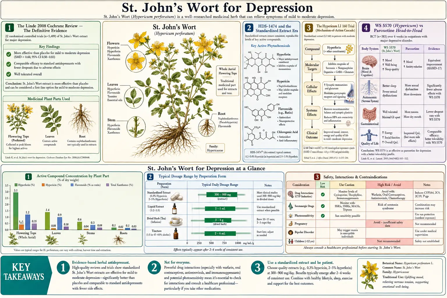 Depression — scientific infographic poster
