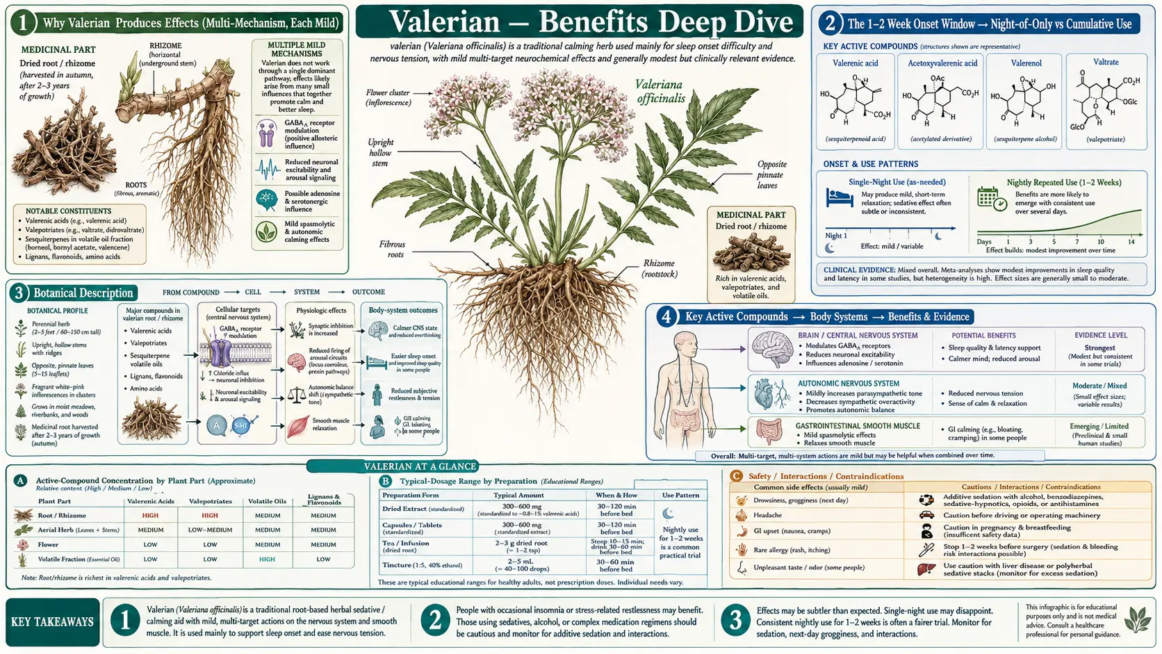 Benefits — scientific infographic poster