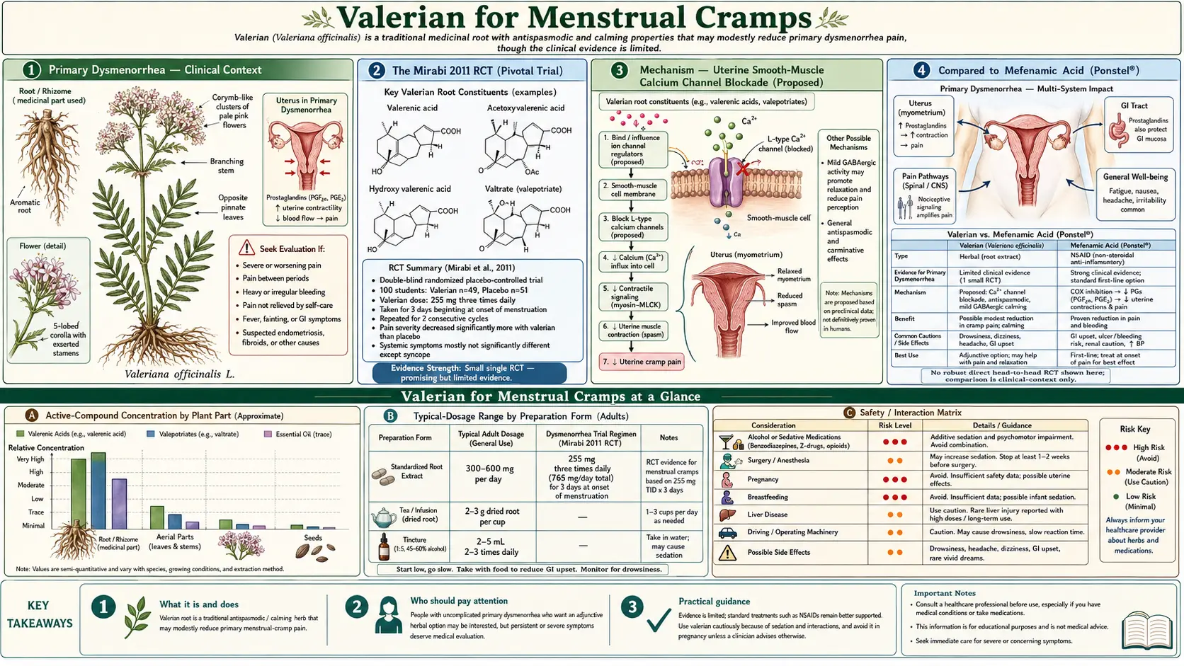 Menstrual Cramps — scientific infographic poster