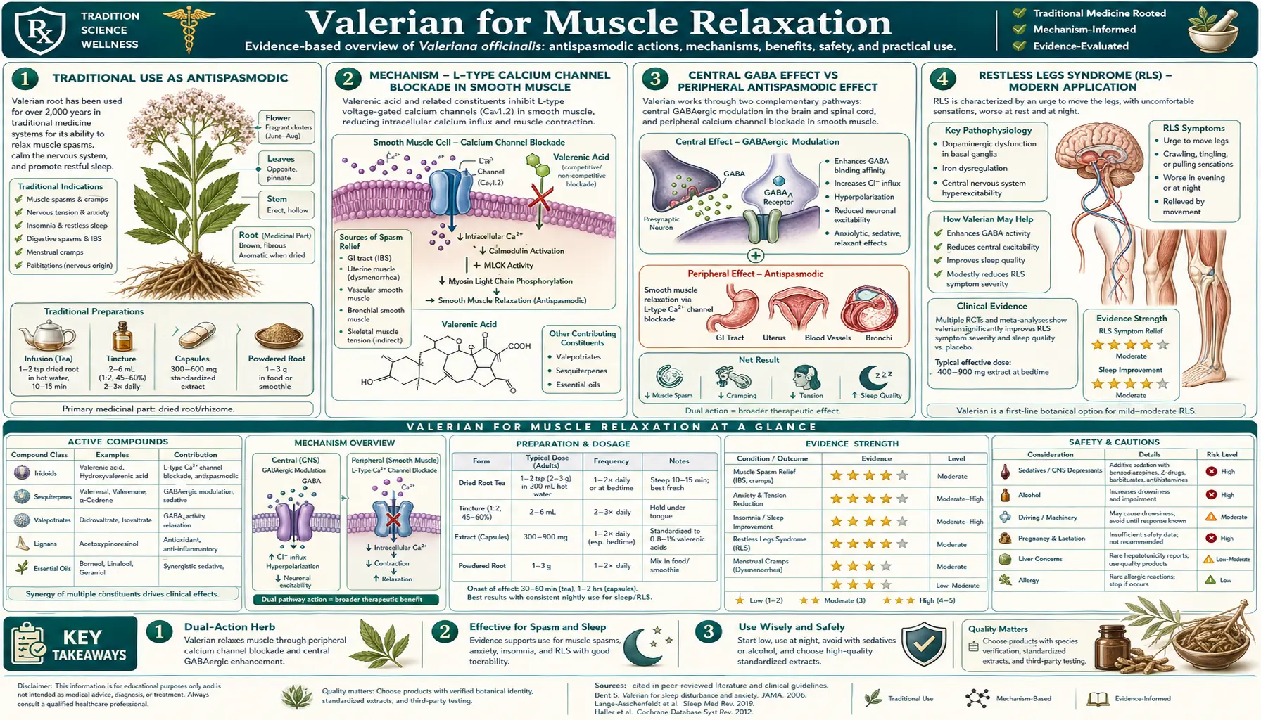 Muscle Relaxation — scientific infographic poster