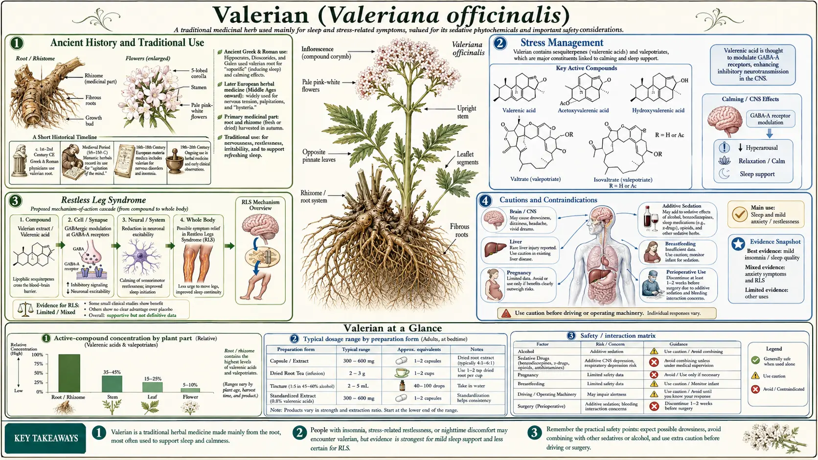Valerian — scientific infographic poster