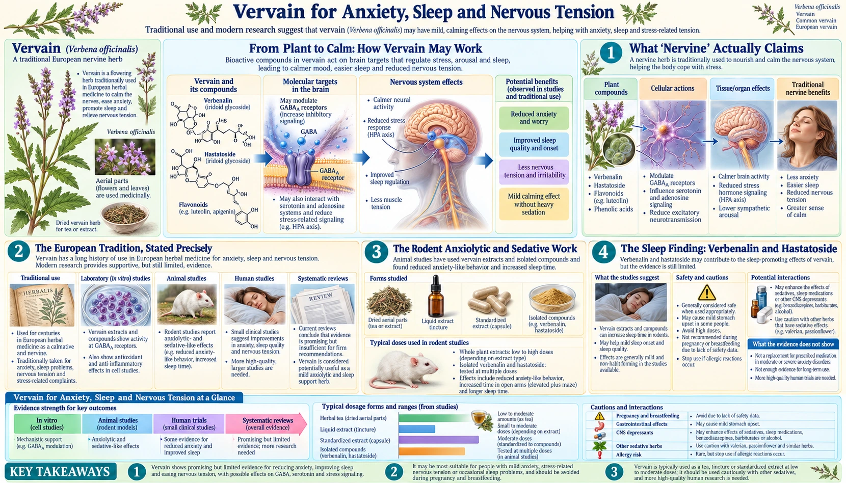 Anxiety Sleep and Nervine Use — scientific infographic poster