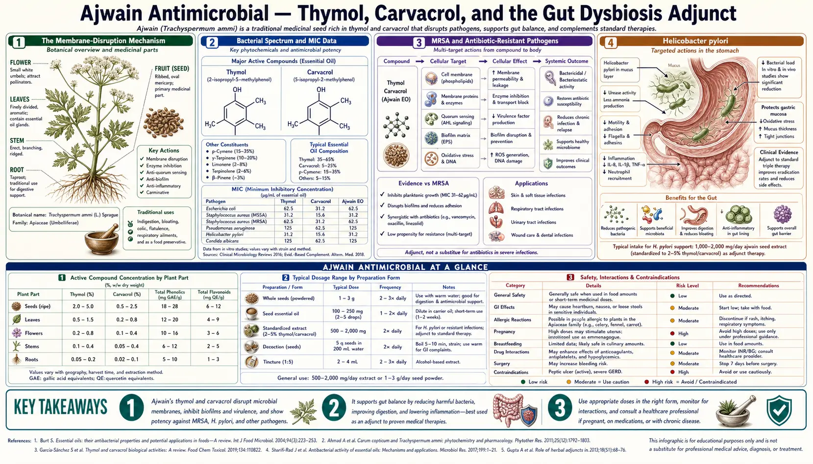 Antimicrobial — scientific infographic poster