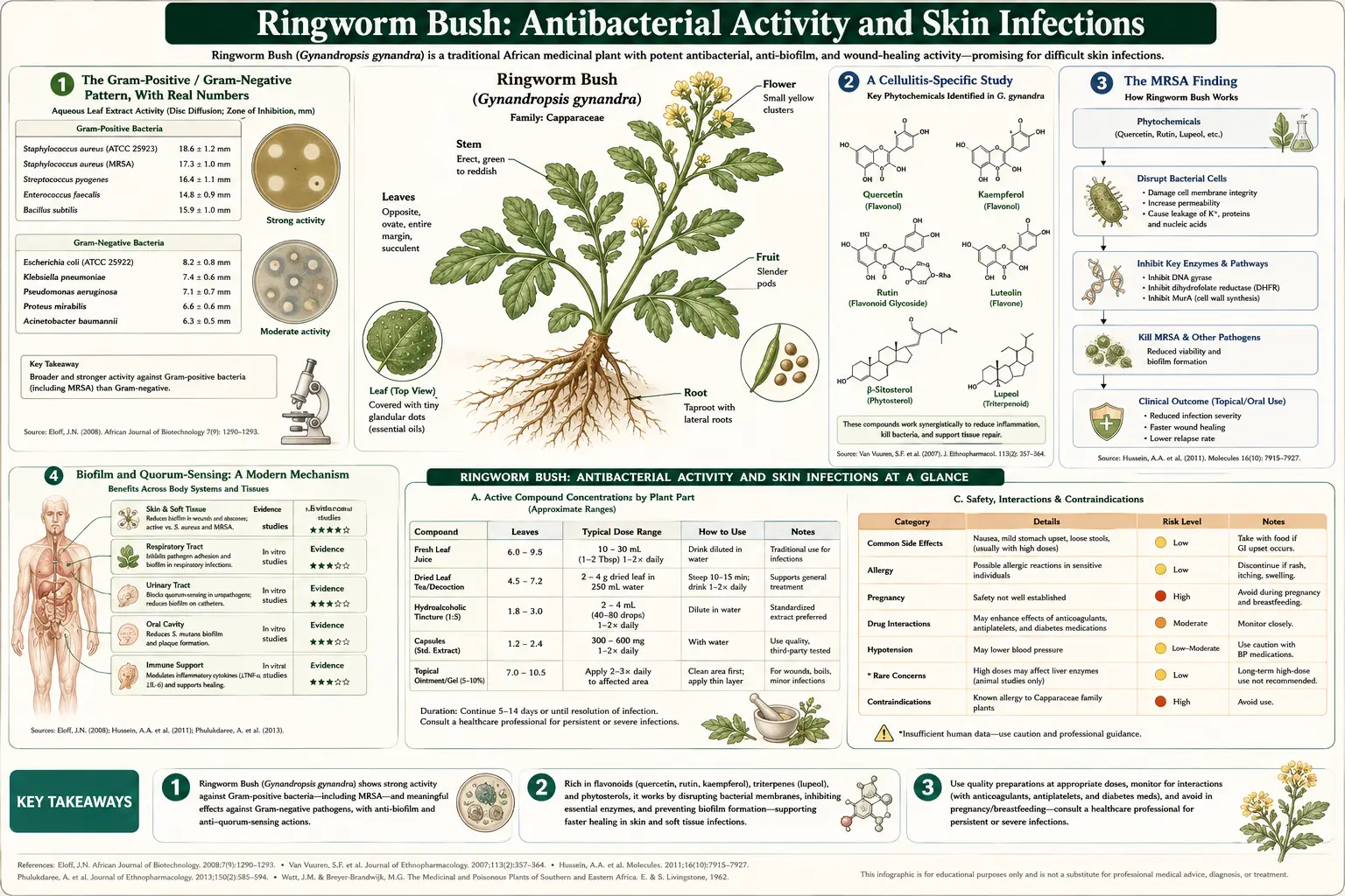 Antibacterial Activity and Skin Infections — scientific infographic poster