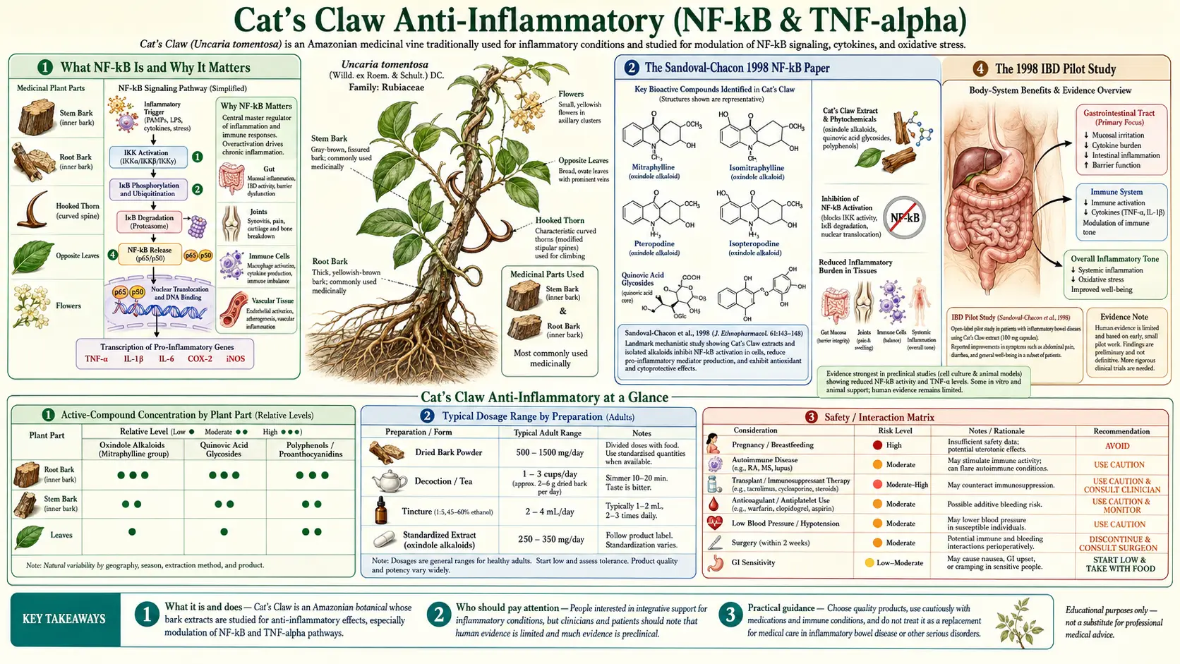 Anti Inflammatory — scientific infographic poster