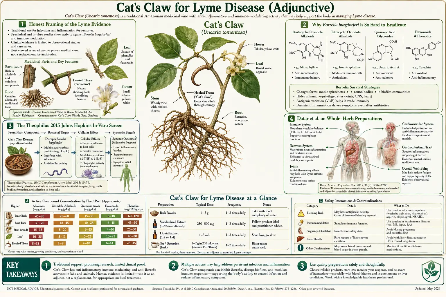 Lyme Disease Adjunctive — scientific infographic poster