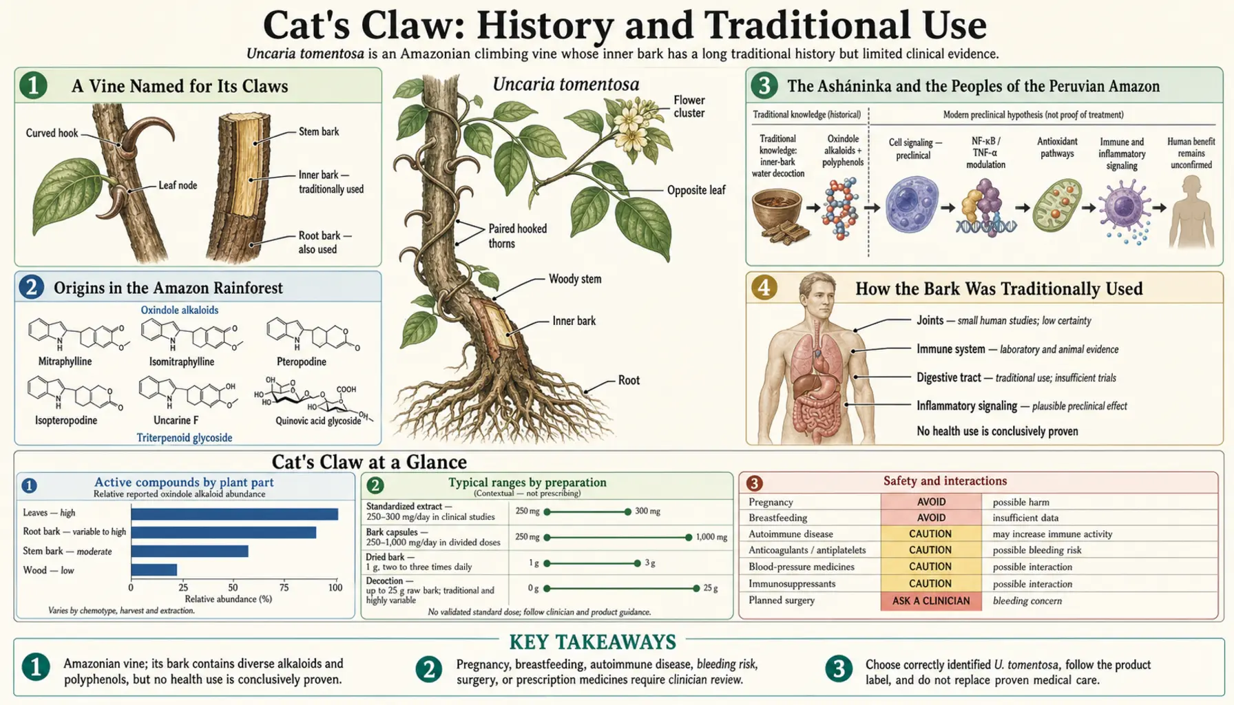 History — scientific infographic poster