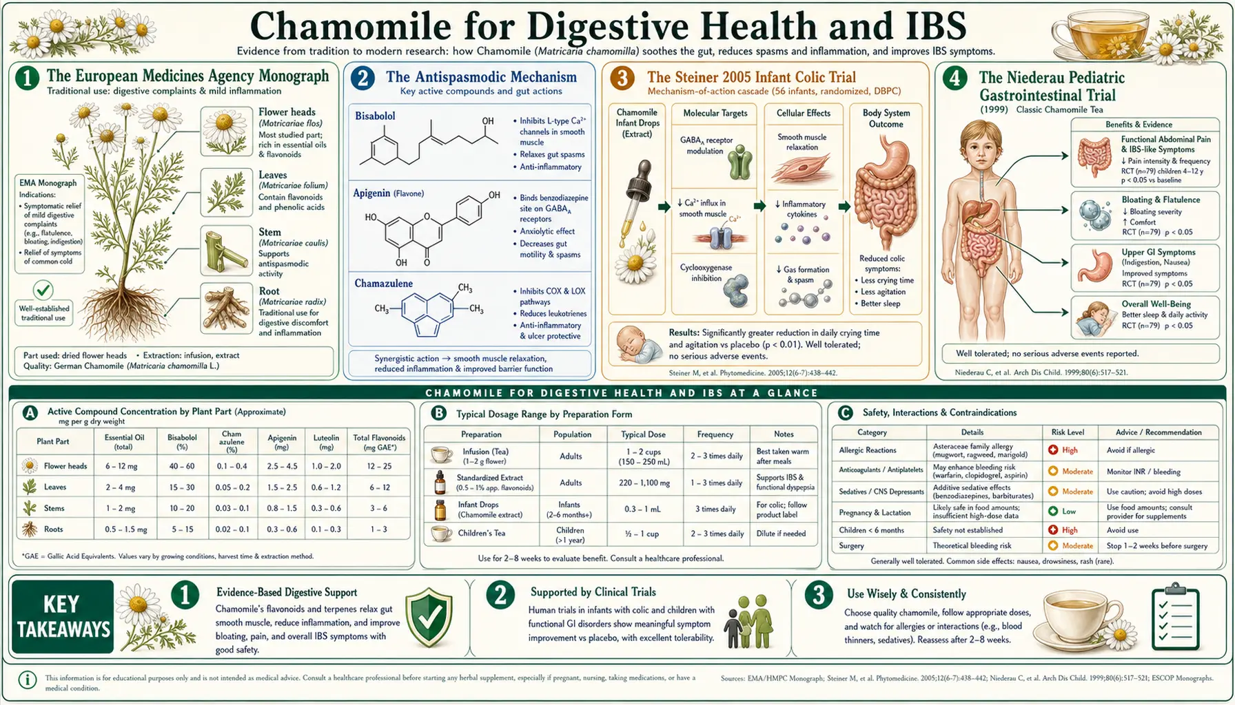 Digestive and IBS — scientific infographic poster