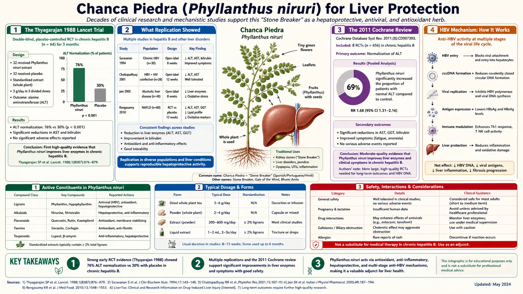 Liver Protection — scientific infographic poster