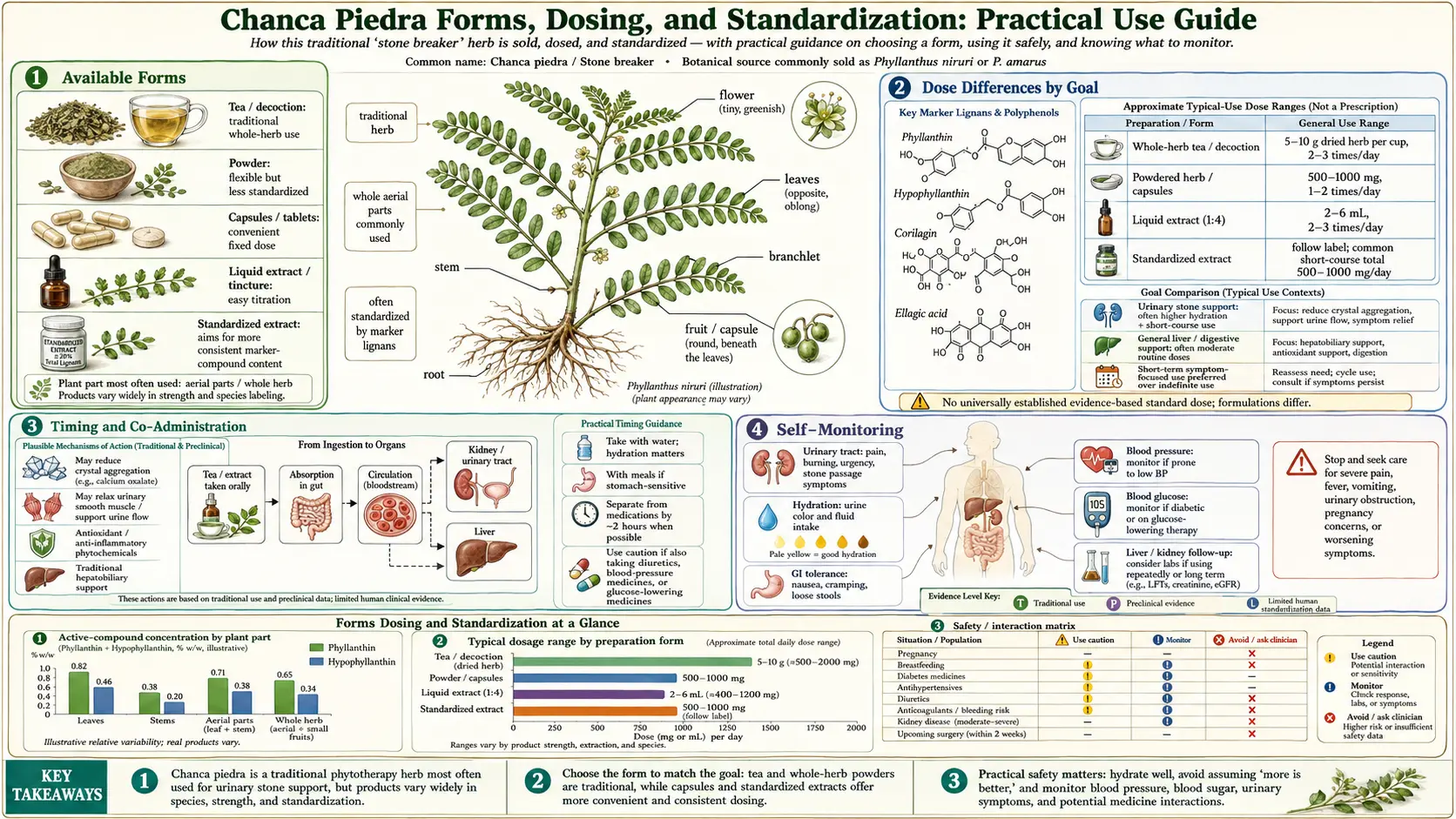 Forms Dosing and Standardization — scientific infographic poster
