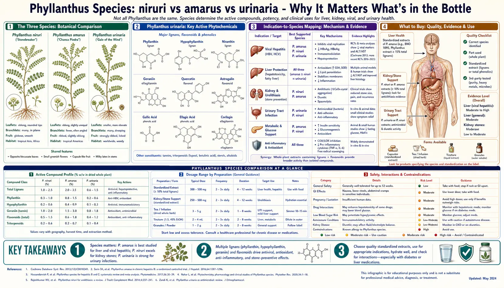 Phyllanthus Species Comparison — scientific infographic poster