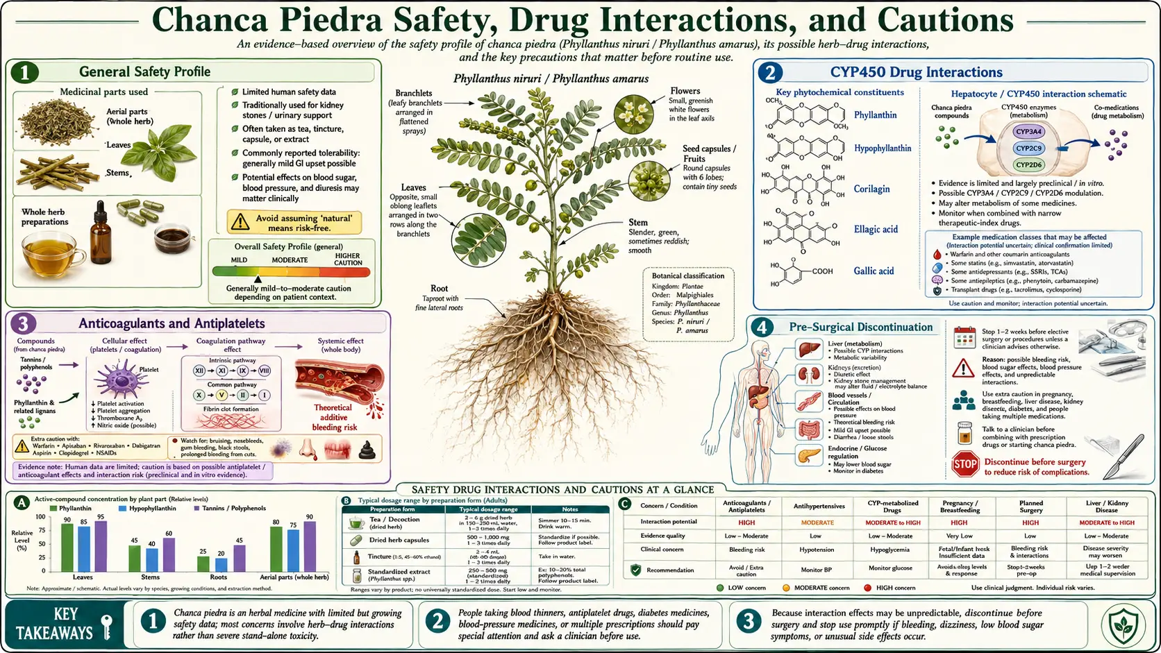Safety Drug Interactions and Cautions — scientific infographic poster