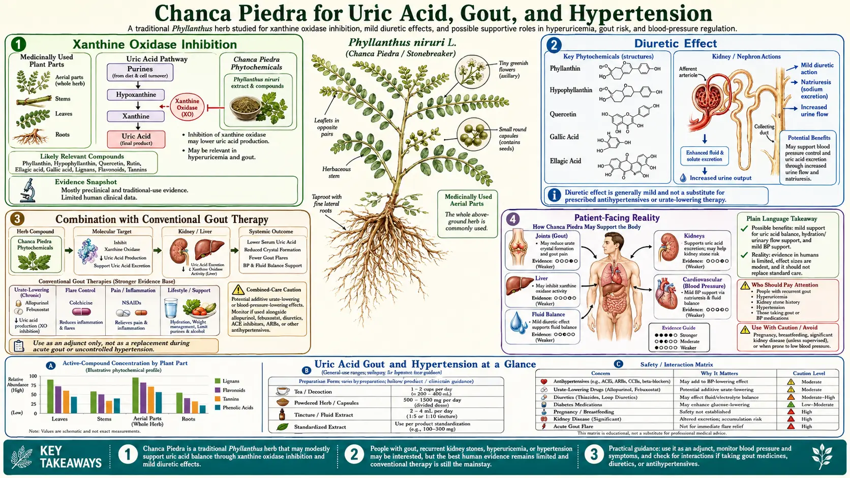 Uric Acid Gout and Hypertension — scientific infographic poster
